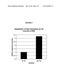 METHOD FOR EXPRESSION OF SMALL RNA MOLECULES WITHIN A CELL diagram and image