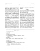 METHOD FOR EXPRESSION OF SMALL RNA MOLECULES WITHIN A CELL diagram and image