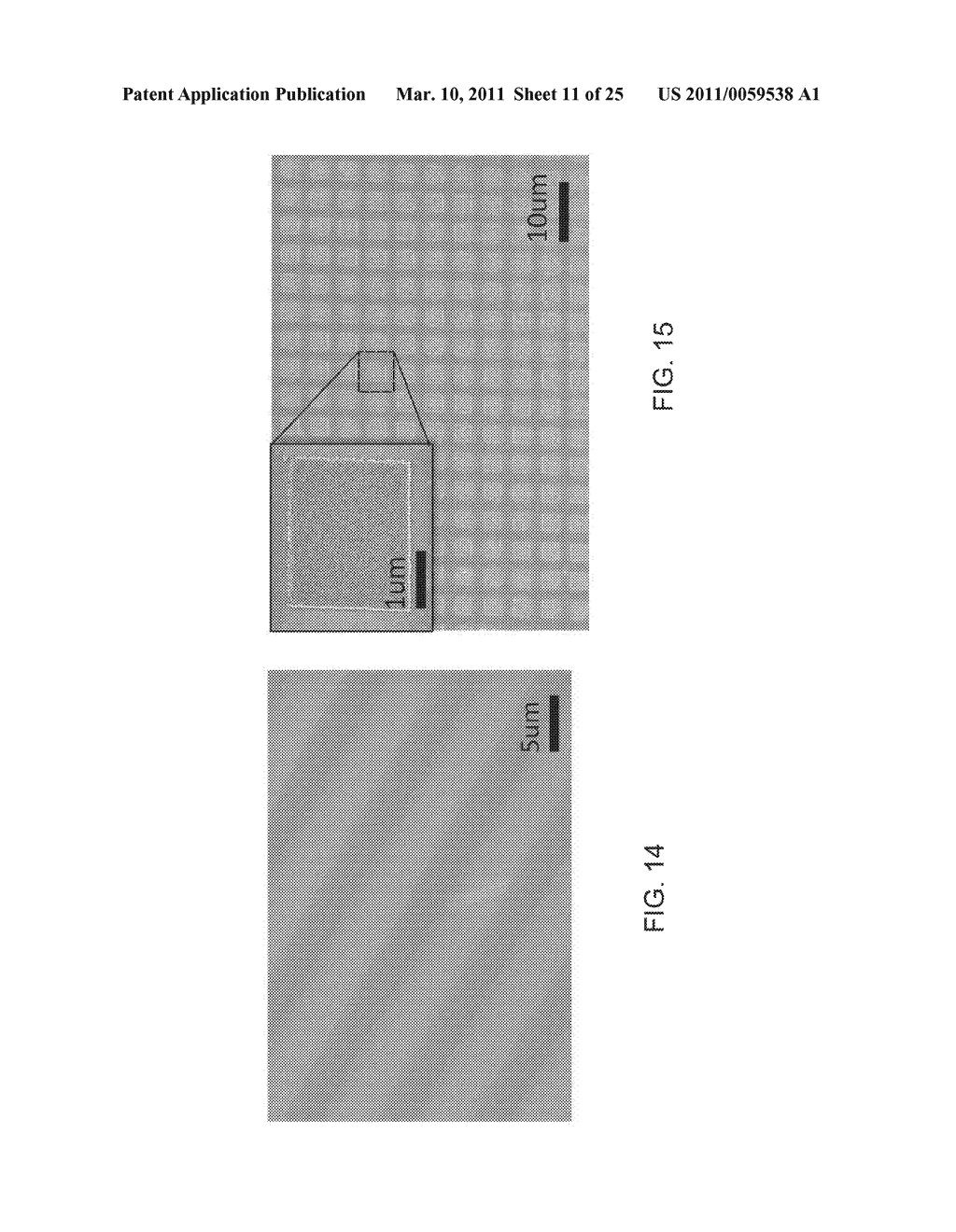 DIFFRACTION GRATINGS COMPRISING POROUS MATERIALS AND DIFFRACTION-BASED SENSORS COMPRISING POROUS MATERIALS - diagram, schematic, and image 12