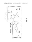 METHOD AND APPARATUS FOR CONVERSION OF MULTIPLE ANALYTE CATION TYPES TO A SINGLE ANALYTE ANION TYPE VIA ION/ION CHARGE INVERSION diagram and image