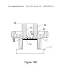 Laser Capture Microdissection (LCM) Extraction Device and Device Carrier, and Method for Post-LCM Fluid Processing diagram and image