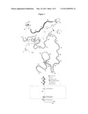 RUBELLA E1 ENVELOPE PROTEIN VARIANTS AND THEIR USE IN DETECTION OF ANTI-RUBELLA ANTIBODIES diagram and image