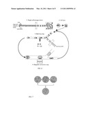 Rapid and Continuous Analyte Processing in Droplet Microfluidic Devices diagram and image