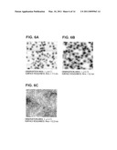 MANUFACTURE METHOD FOR ZnO-BASED LIGHT EMITTING DEVICE diagram and image