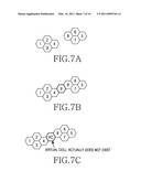 Method and apparatus for allocating cell ID in self-organizing network diagram and image