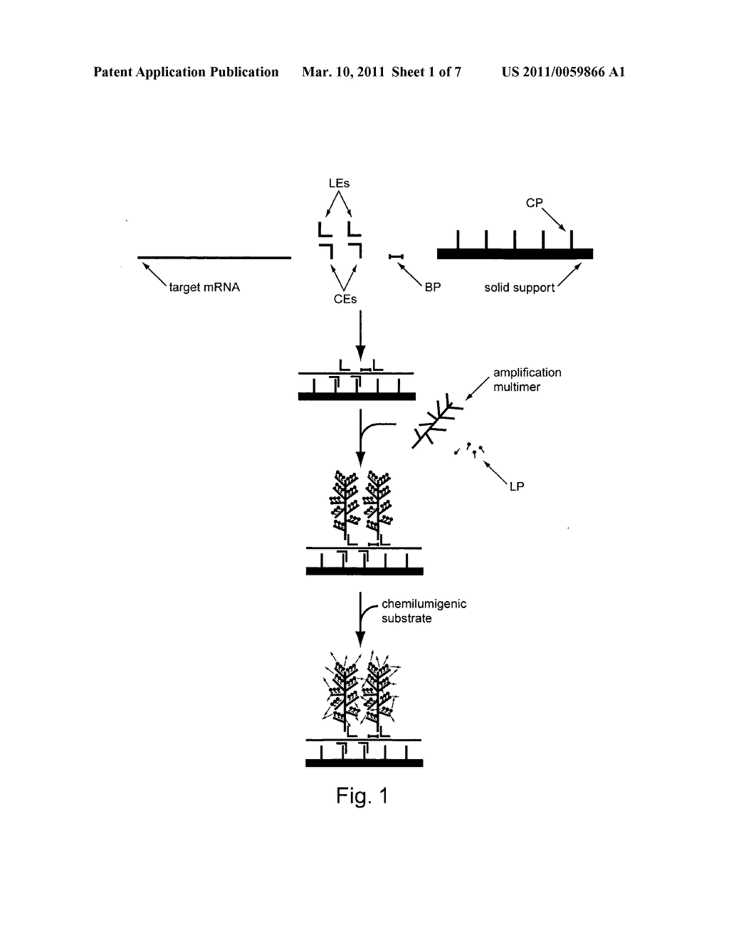 Multiplex detection of nucleic acids - diagram, schematic, and image 02