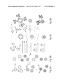 Multiplex detection of nucleic acids diagram and image