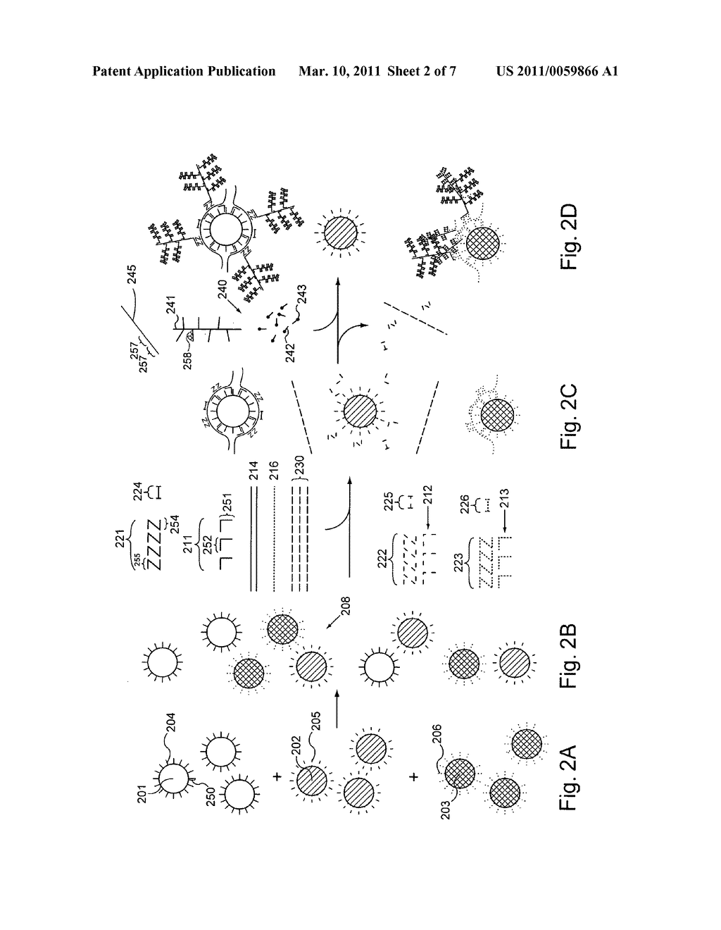 Multiplex detection of nucleic acids - diagram, schematic, and image 03