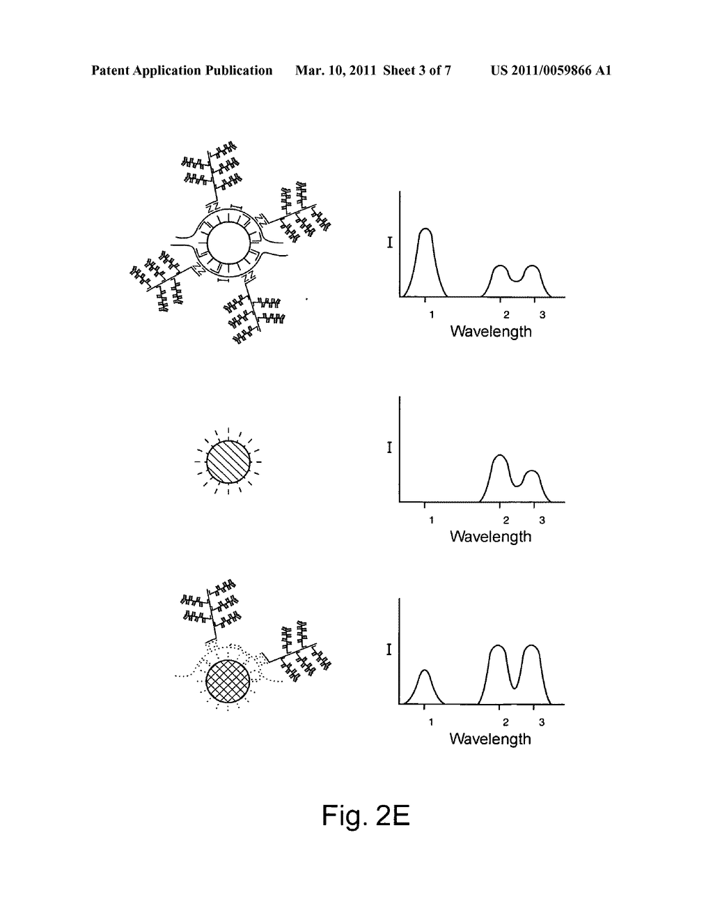 Multiplex detection of nucleic acids - diagram, schematic, and image 04