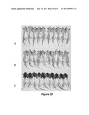 VITAMIN D3 AND ANALOGS THEREOF FOR TREATING ALOPECIA diagram and image