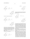 MITOCHONDRIA TARGETED CATIONIC ANTI-OXIDANT COMPOUNDS FOR PREVENTION, THERAPY OR TREATMENT OF HYPER-PROLIFERATIVE DISEASE, NEOPLASIAS AND CANCERS diagram and image