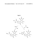 NOVEL MULTICYCLIC COMPOUNDS AND THE USE THEREOF diagram and image