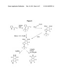 NOVEL MULTICYCLIC COMPOUNDS AND THE USE THEREOF diagram and image