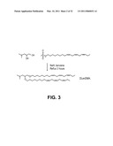 LIPID ENCAPSULATING INTERFERING RNA diagram and image