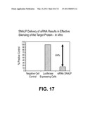 LIPID ENCAPSULATING INTERFERING RNA diagram and image