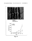 APPROACHES TO TREAT CANCER USING HB-EGF INHIBITORS diagram and image