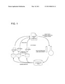 HLA-BINDING PEPTIDES, PRECURSORS THEREOF, DNA FRAGMENTS AND RECOMBINANT VECTORS THAT CODE FOR THOSE PEPTIDE SEQUENCES diagram and image