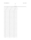 HLA-BINDING PEPTIDES, PRECURSORS THEREOF, DNA FRAGMENTS AND RECOMBINANT VECTORS THAT CODE FOR THOSE PEPTIDE SEQUENCES diagram and image