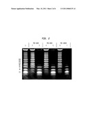 Selective Purification of Small RNAs from Mixtures diagram and image