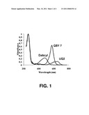 METHOD OF DETECTING FLUORESCENCE diagram and image