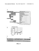 MATRIX ATTACHMENT REGIONS (MARS) FOR INCREASING TRANSCRIPTION AND USES THEREOF diagram and image