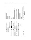 MATRIX ATTACHMENT REGIONS (MARS) FOR INCREASING TRANSCRIPTION AND USES THEREOF diagram and image