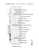 MATRIX ATTACHMENT REGIONS (MARS) FOR INCREASING TRANSCRIPTION AND USES THEREOF diagram and image