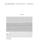 S-ADENOSYL-L-METHIONINE SYNTHETASE PROMOTER AND ITS USE IN EXPRESSION OF TRANSGENIC GENES IN PLANTS diagram and image