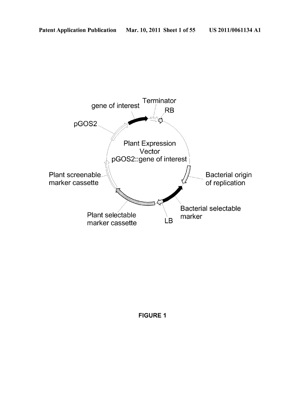 Plants Having Enhanced Yield-Related Traits and a Method for Making the Same - diagram, schematic, and image 02