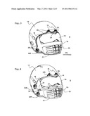 Faceguard diagram and image