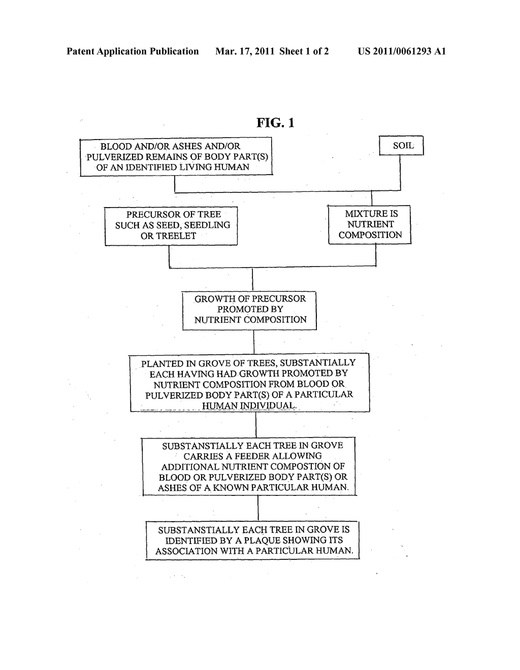 Tree of life precursor - diagram, schematic, and image 02