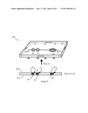 PORTABLE DEVICE AND PROCESS TO AUTOMATICALLY CLEANSE AND DRY PETS diagram and image