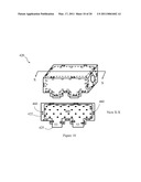 PORTABLE DEVICE AND PROCESS TO AUTOMATICALLY CLEANSE AND DRY PETS diagram and image