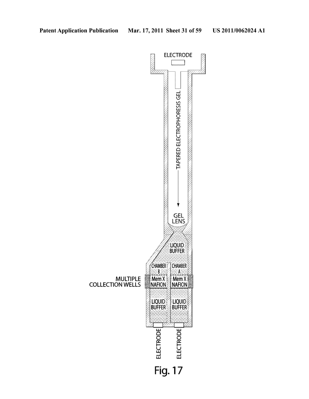 MULTICHANNEL PREPARATIVE ELECTROPHORESIS SYSTEM - diagram, schematic, and image 32