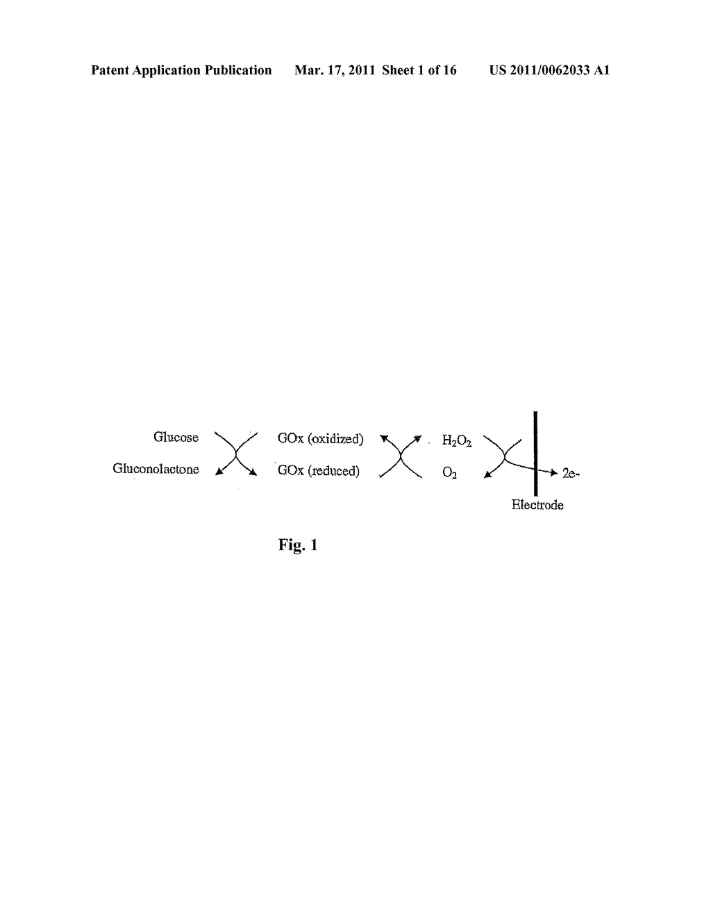 Implantable Electrochemical Biosensor System and Method - diagram, schematic, and image 02