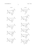 BALANCED INDIVIDUAL DINING PLATE diagram and image