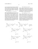 BALANCED INDIVIDUAL DINING PLATE diagram and image