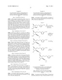 BALANCED INDIVIDUAL DINING PLATE diagram and image