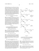 BALANCED INDIVIDUAL DINING PLATE diagram and image