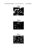 CELLULOSE POWDER HAVING EXCELLENT SEGREGATION PREVENTIVE EFFECT, AND COMPOSITIONS THEREOF diagram and image