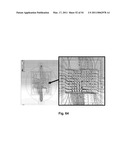 MULTIPLE CONTACT PROBES diagram and image