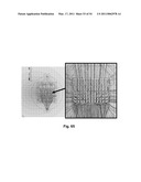 MULTIPLE CONTACT PROBES diagram and image