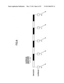 Recording apparatus and control method therefor diagram and image