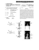 LONG LENGTH MULTIPLE DETECTOR IMAGING APPARATUS AND METHOD diagram and image