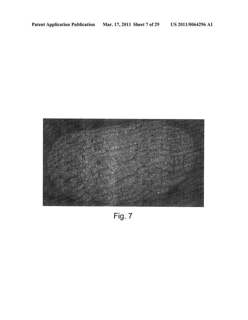 IMAGING SYSTEM WITH DYNAMIC RANGE MAXIMIZATION - diagram, schematic, and image 08