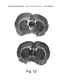 IMAGING SYSTEM WITH DYNAMIC RANGE MAXIMIZATION diagram and image