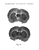 IMAGING SYSTEM WITH DYNAMIC RANGE MAXIMIZATION diagram and image