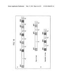 IMAGE SIGNAL DECODING APPARATUS, IMAGE SIGNAL DECODING METHOD, IMAGE SIGNAL ENCODING APPARATUS, IMAGE SIGNAL ENCODING METHOD, AND PROGRAM diagram and image