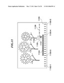 IMAGE PICKUP APPARATUS CAPABLE OF DISPLAYING A IMAGE REPRESENTING AN OBJECT BRIGHTNESS THAT CAN BE SET AS A TARGET EXPOSURE BY EXPOSURE CONTROL, AND METHOD OF CONTROLLING THE SAME diagram and image