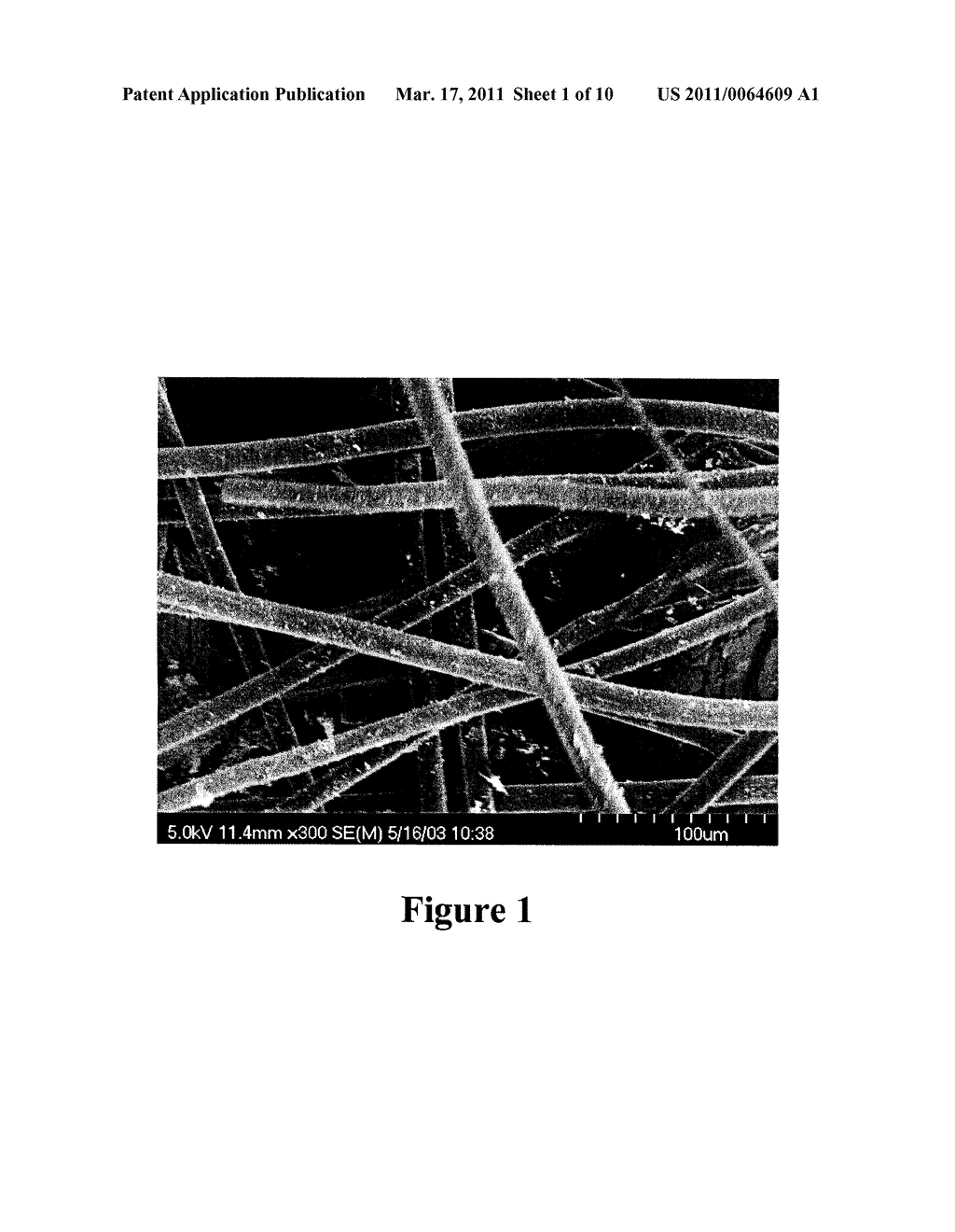 HIGH SURFACE AREA CERAMIC COATED FIBERS - diagram, schematic, and image 02